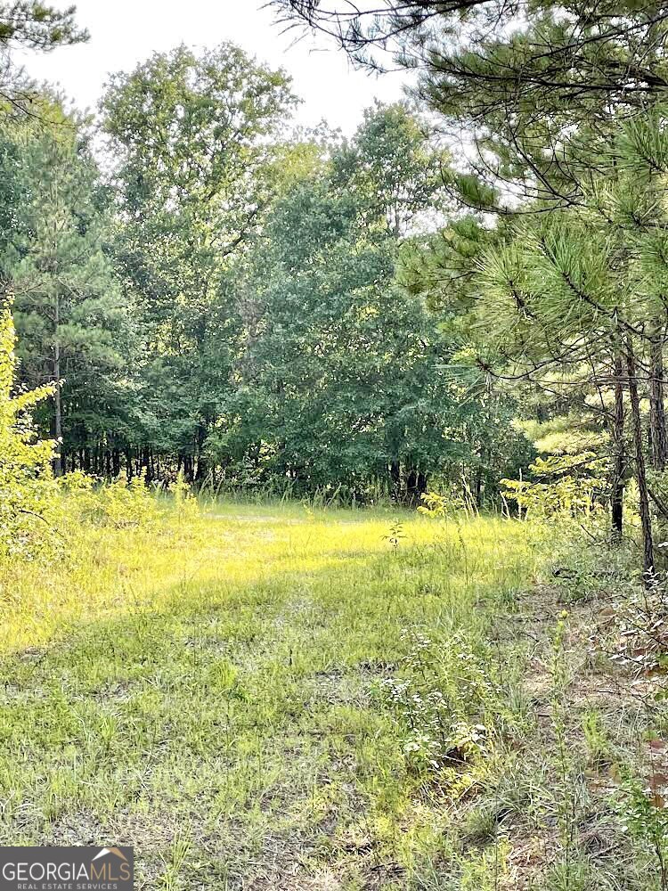 4476 Fulton Mill Road Macon, GA 31216 - Photo 2 of 10
