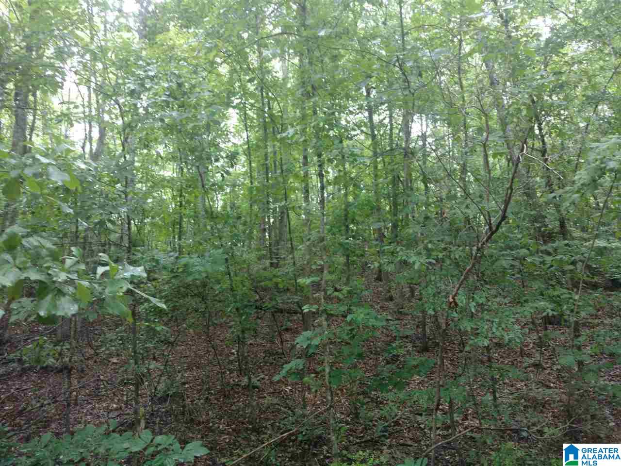 6 Ave, Unit 3 Wedowee, AL 36278 - Photo 1 of 2