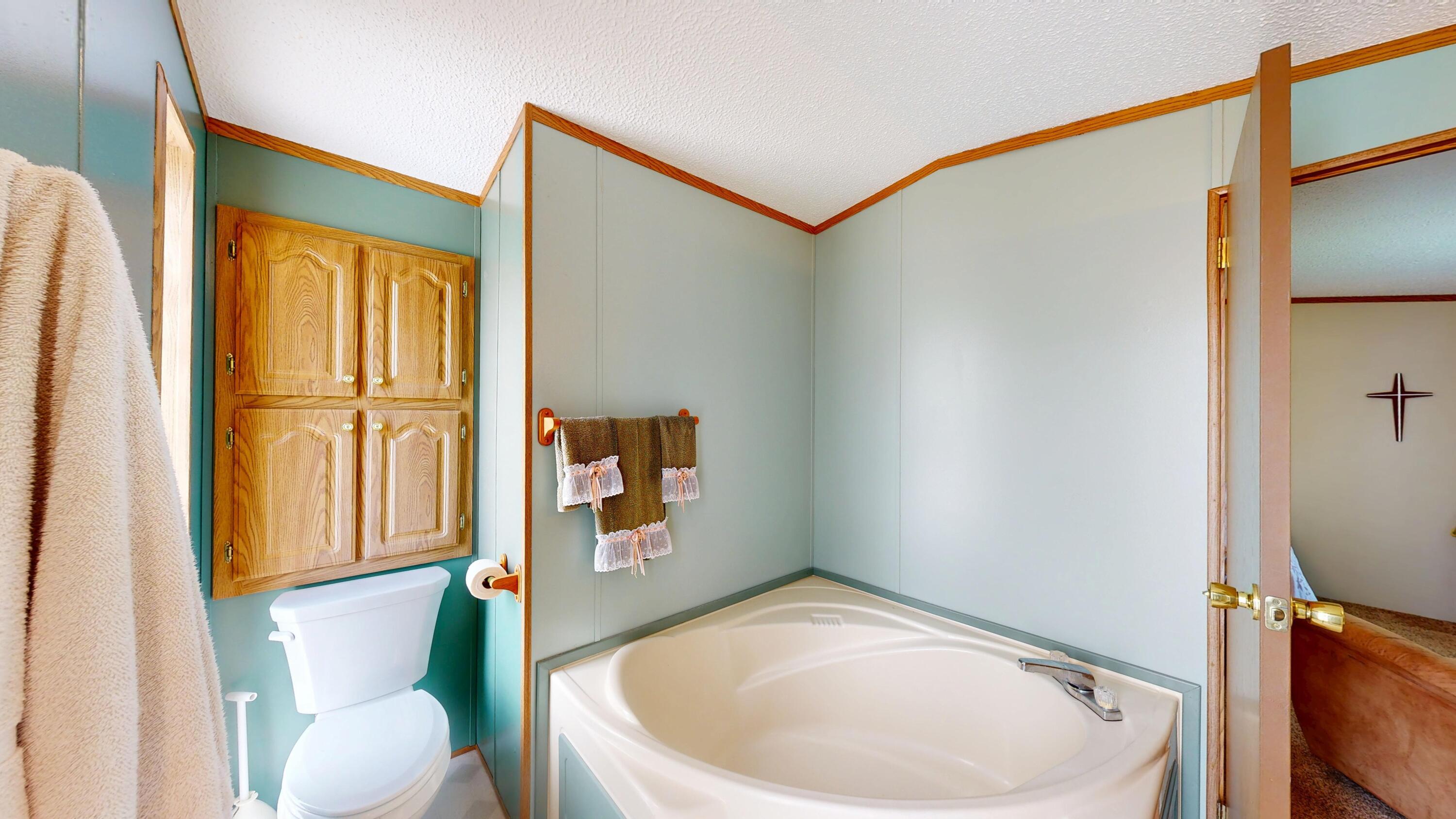 E2817 South Creek Road De Soto, WI 54624 - Photo 17 of 27 Primary Bathroom