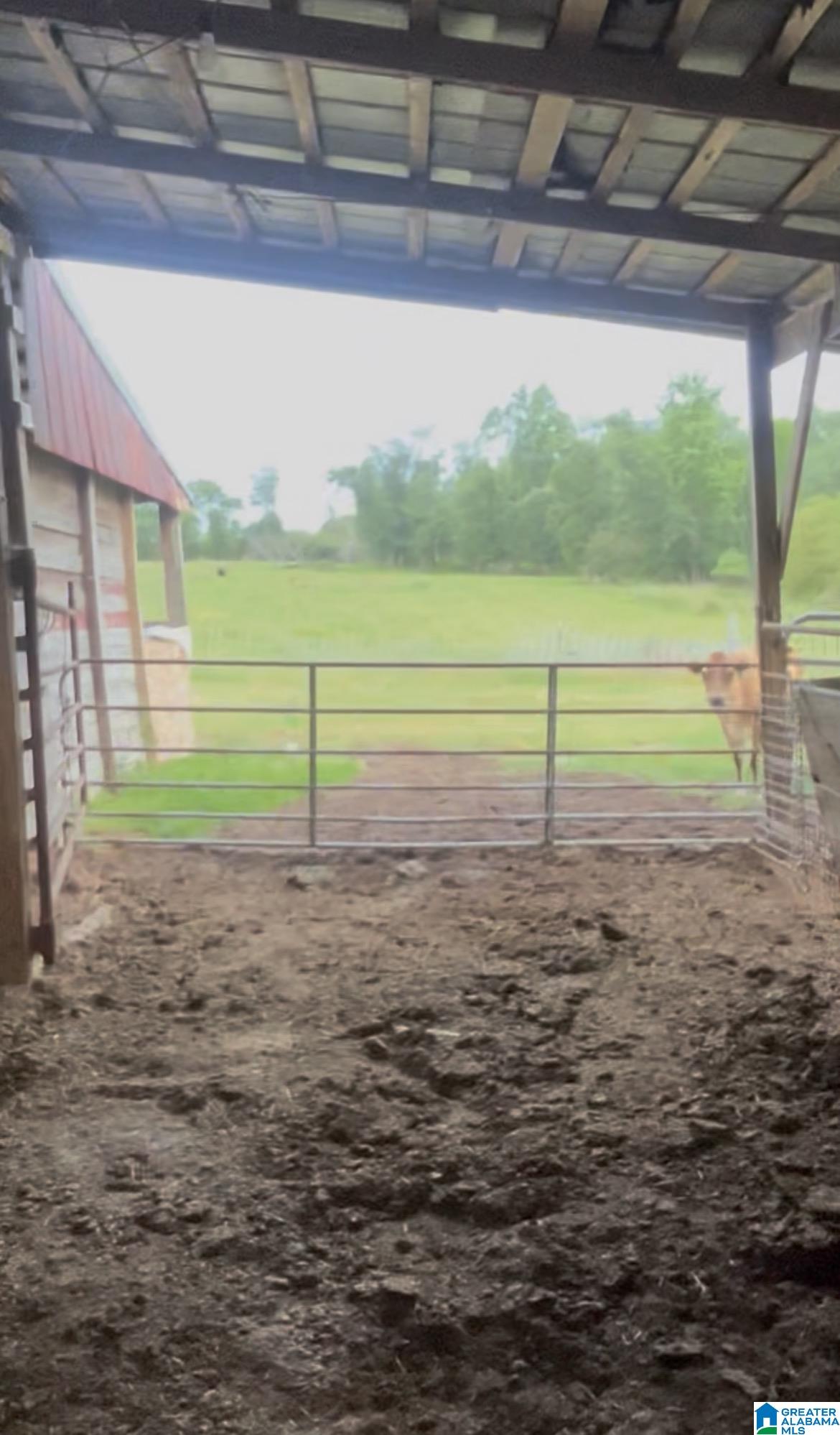121 Black Bottom Road Boaz, AL 35956 - Photo 11 of 16