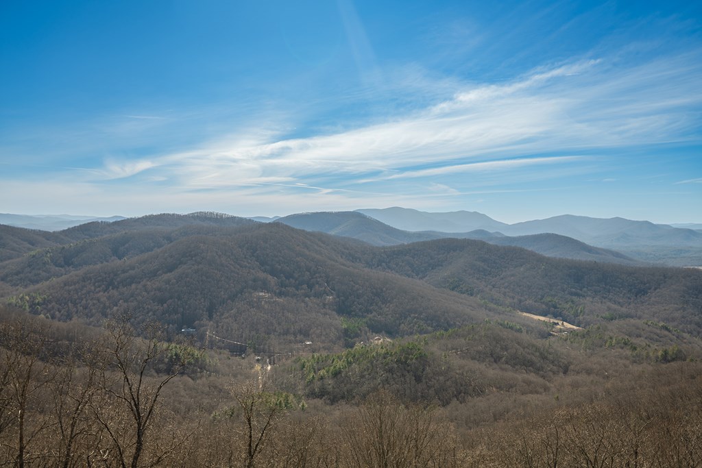 925 Heards Ridge Morganton, GA 30560 - Photo 65 of 70