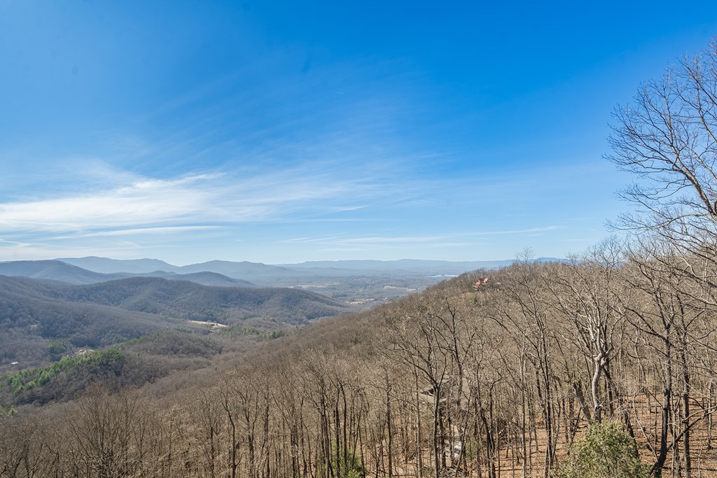 925 Heards Ridge Morganton, GA 30560 - Photo 66 of 70 a view of mountain and field