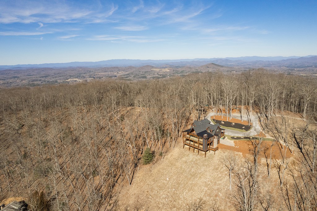 925 Heards Ridge Morganton, GA 30560 - Photo 70 of 70