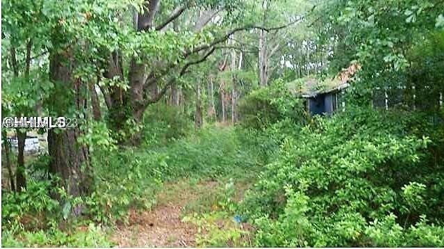 100 Goethe Road Bluffton, SC 29910 - Photo 1 of 3