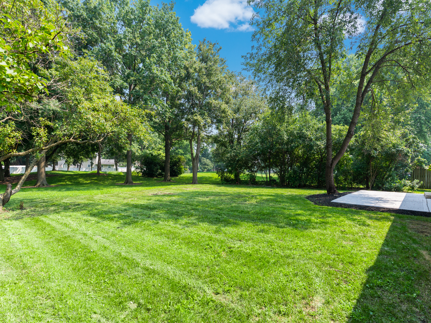 104 Devon Lane Naperville, IL 60540 - Photo 48 of 57 a view of green field with trees in the background
