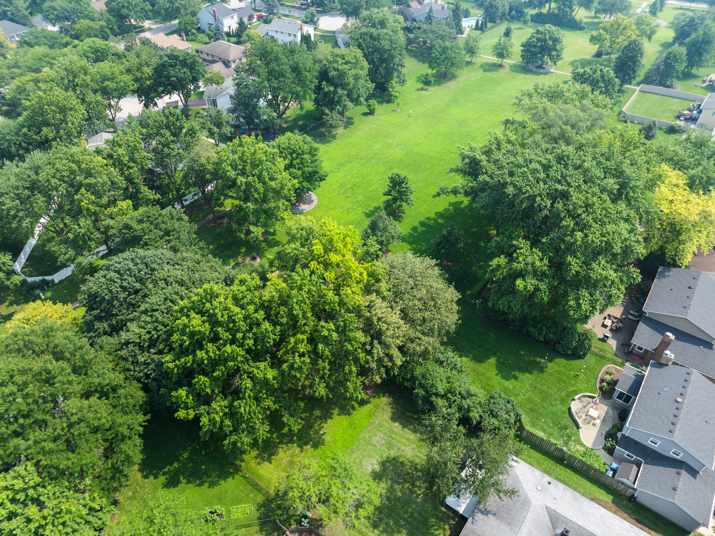 104 Devon Lane Naperville, IL 60540 - Photo 52 of 57 an aerial view of residential house with outdoor space and trees all around