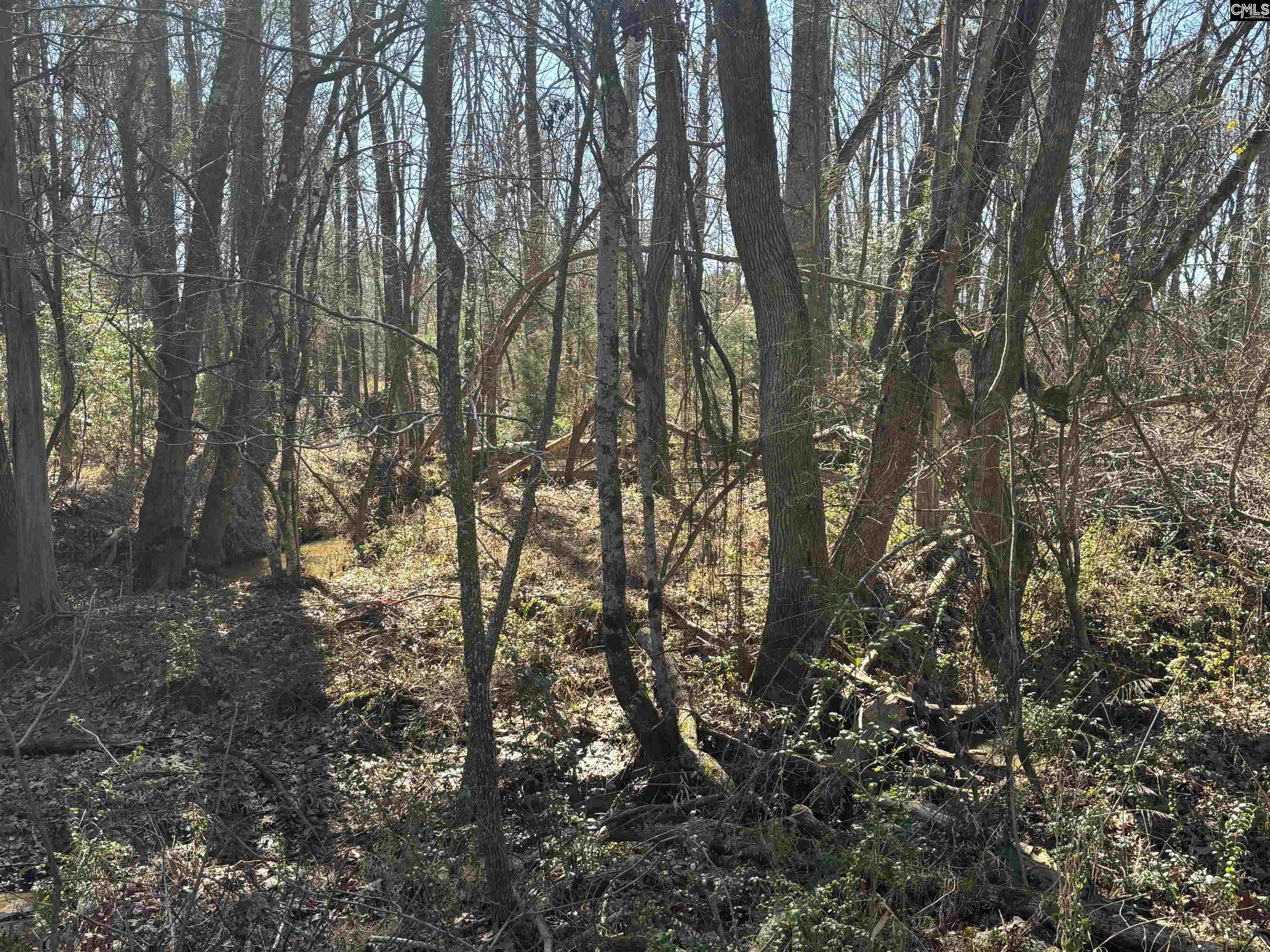 0 Bethany Road Saluda, SC 29138 - Photo 22 of 24