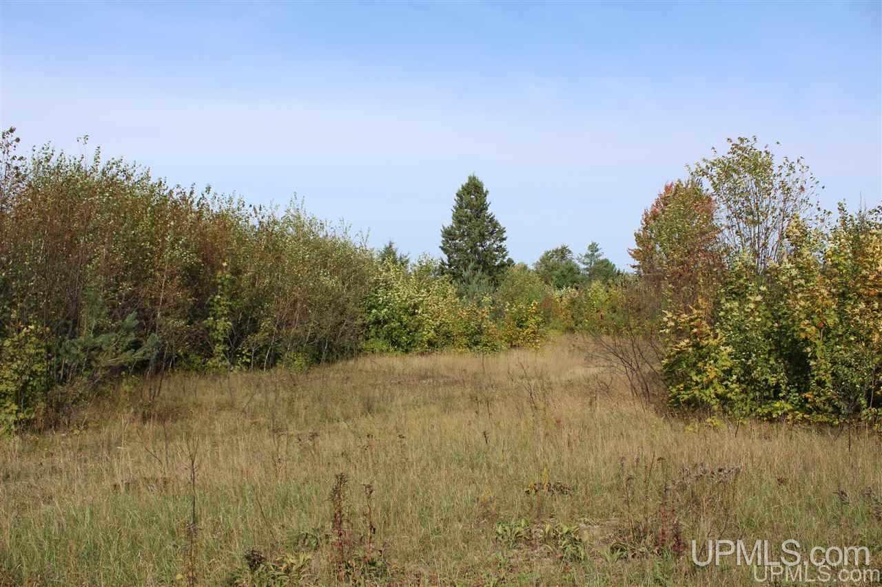 23827 Hulkonen Road Nisula, MI 49952 - Photo 1 of 44 Gallery Image 1