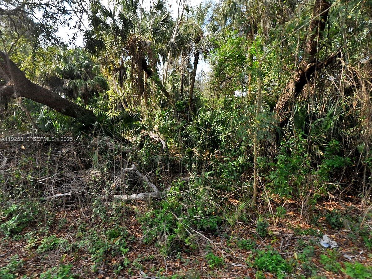 Lot 13 Bond Road North Port, FL 34288 - Photo 2 of 2 a view of a tree