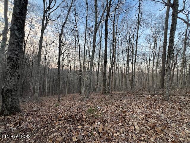 192 Taylor Road Byrdstown, TN 38549 - Photo 3 of 15 image4
