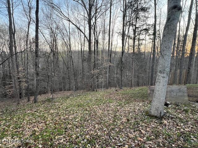 192 Taylor Road Byrdstown, TN 38549 - Photo 6 of 15 image6
