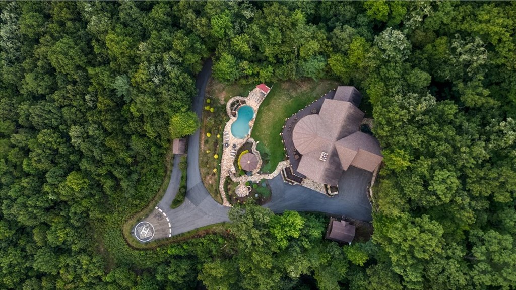 373 Rising Star Lane Mineral Bluff, GA 30559 - Photo 4 of 98 an aerial view of a house with outdoor space and street view