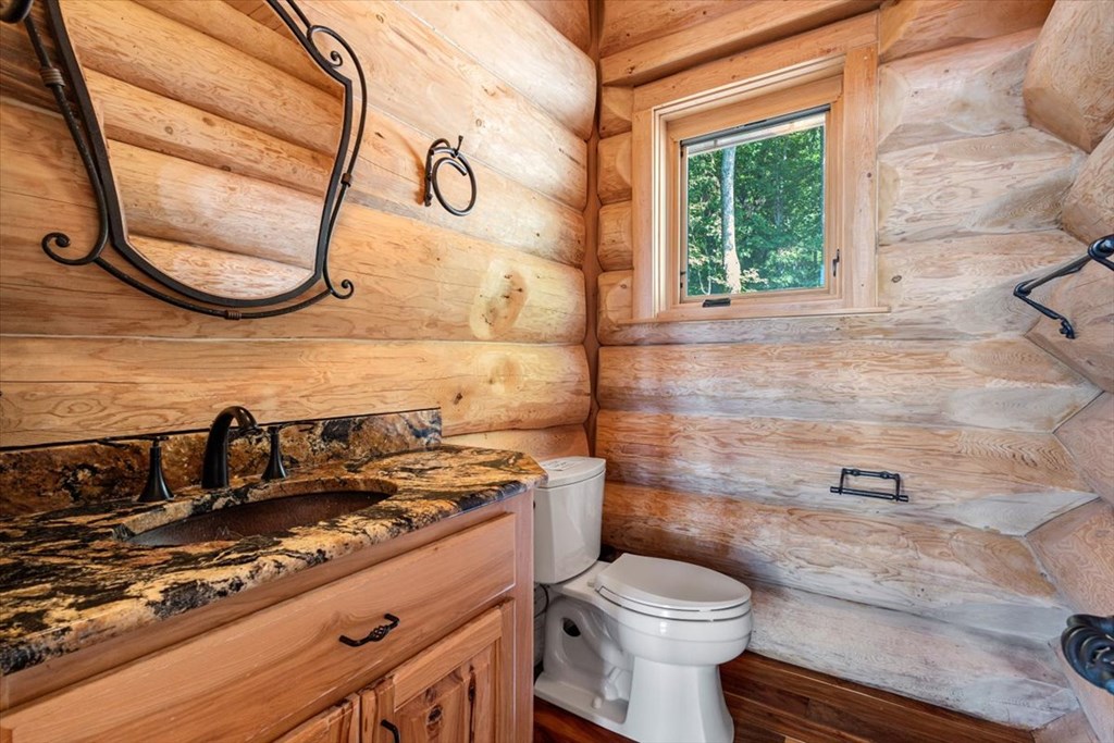 373 Rising Star Lane Mineral Bluff, GA 30559 - Photo 52 of 98 a bathroom with a granite countertop toilet and a sink