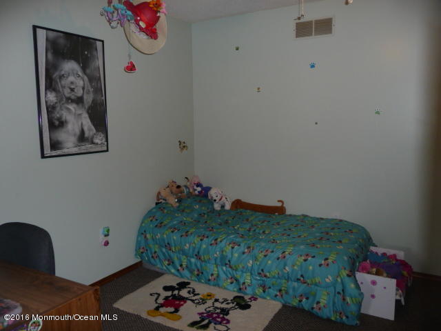 869 Monmouth Road Cream Ridge, NJ 08514 - Photo 16 of 24 P1080003