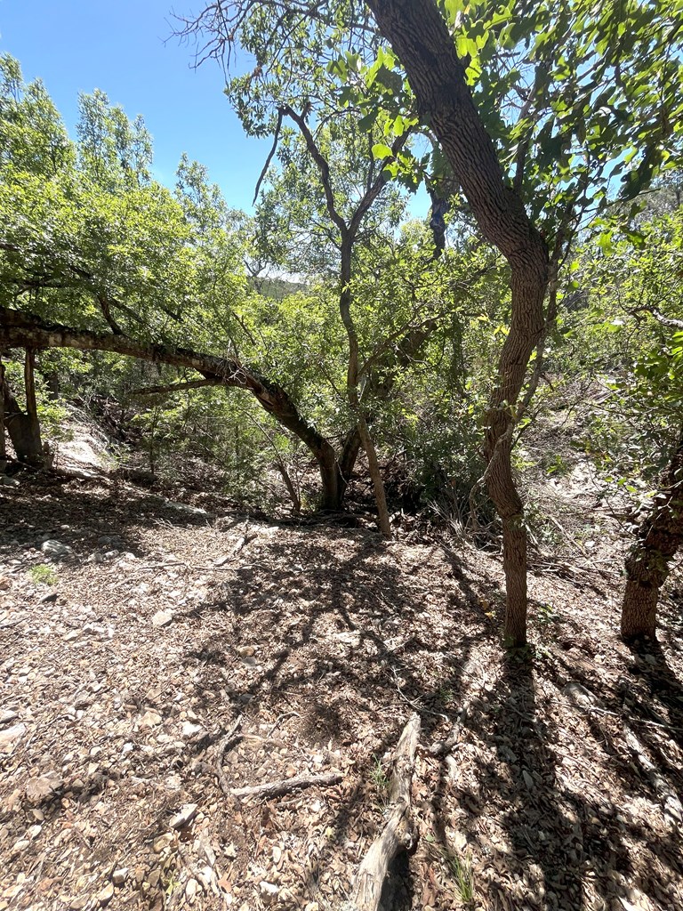 3835 Bluff Creek Road Leakey, TX 78873 - Photo 27 of 41