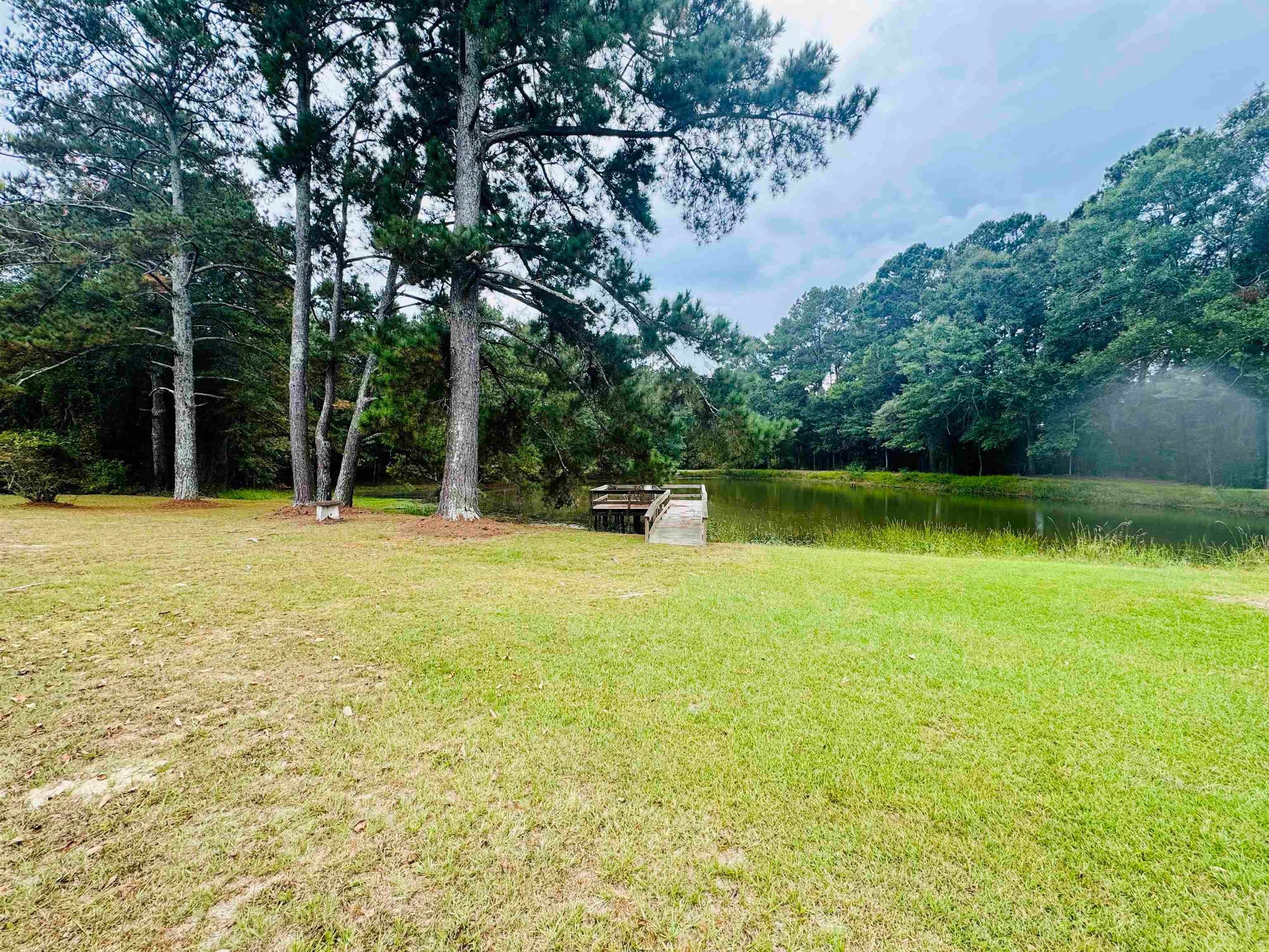 22737 Fleeta Road Opp, AL 36467 - Photo 12 of 37 Gallery Image 12
