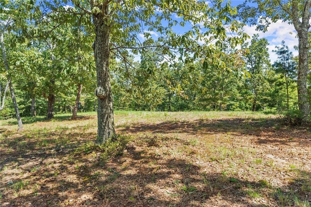 0 Helton Road Cleveland, GA 30528 - Photo 23 of 79 Gallery Image 23