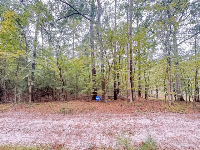 a view of outdoor space with deck and trees