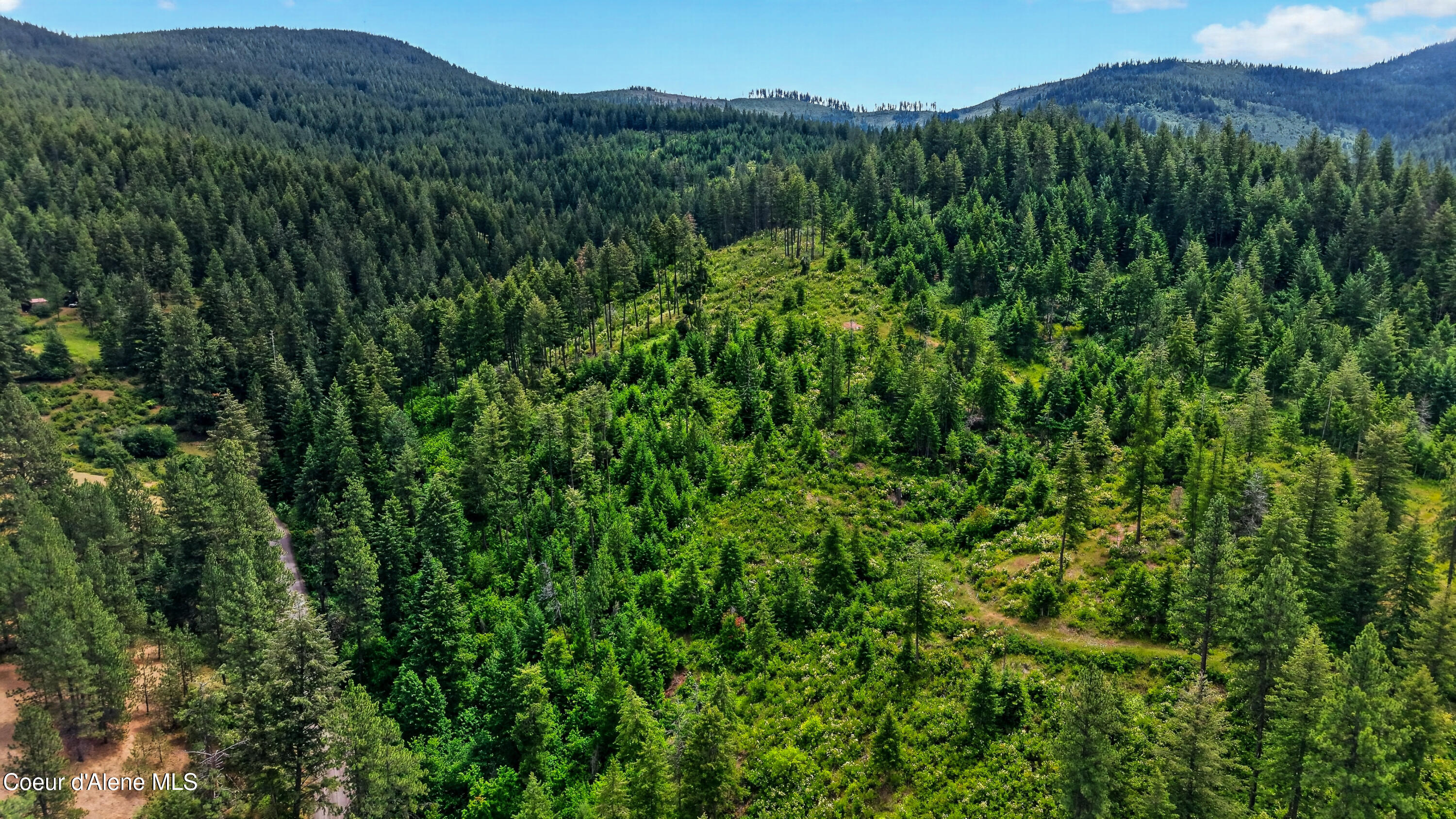 3343 South Carpenter Loop Post Falls, ID 83854 - Photo 10 of 49 DJI_20260630035001_0048_D
