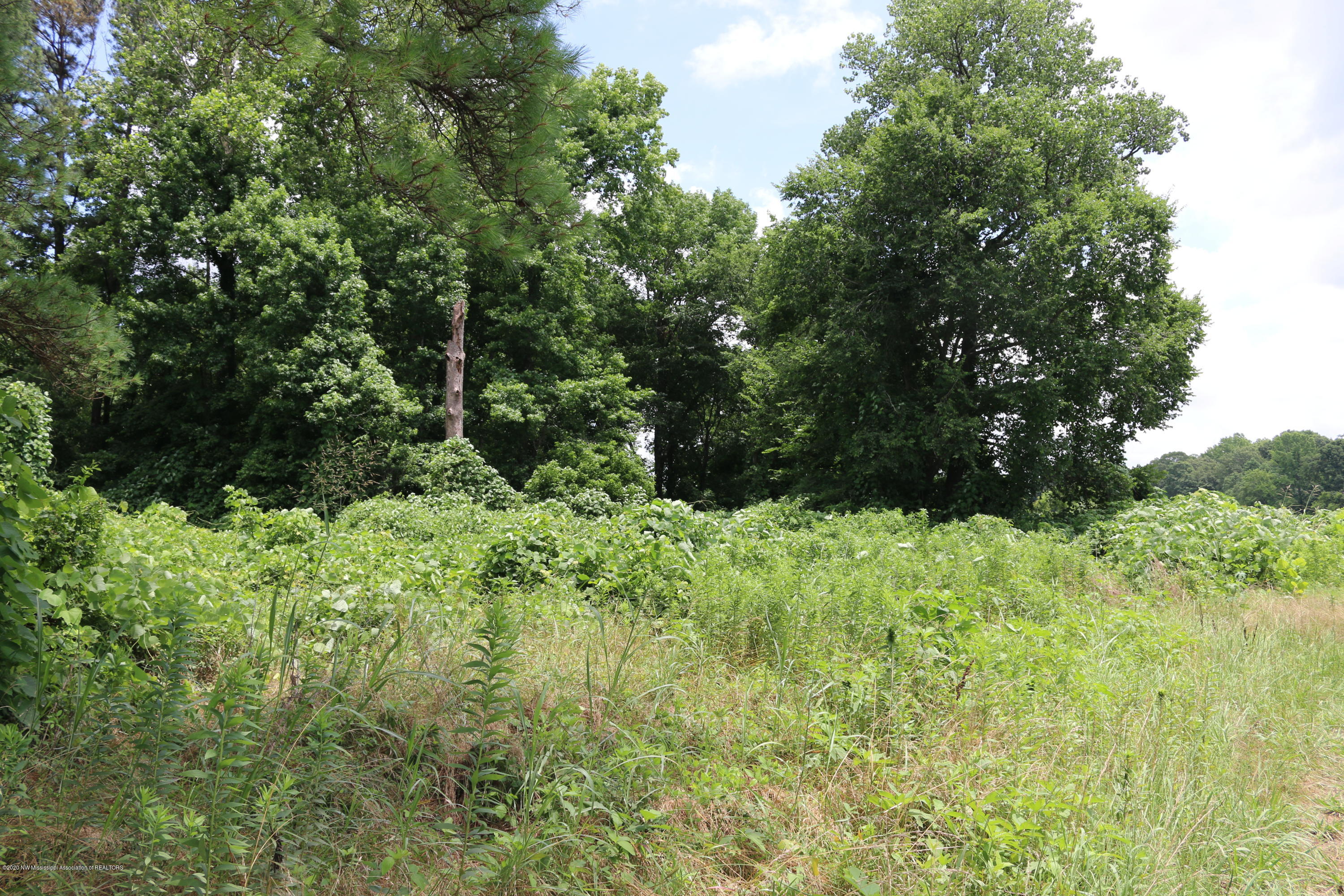 Lot 1 Cayce Road Red Banks, MS 38661 - Photo 5 of 7 lee creek