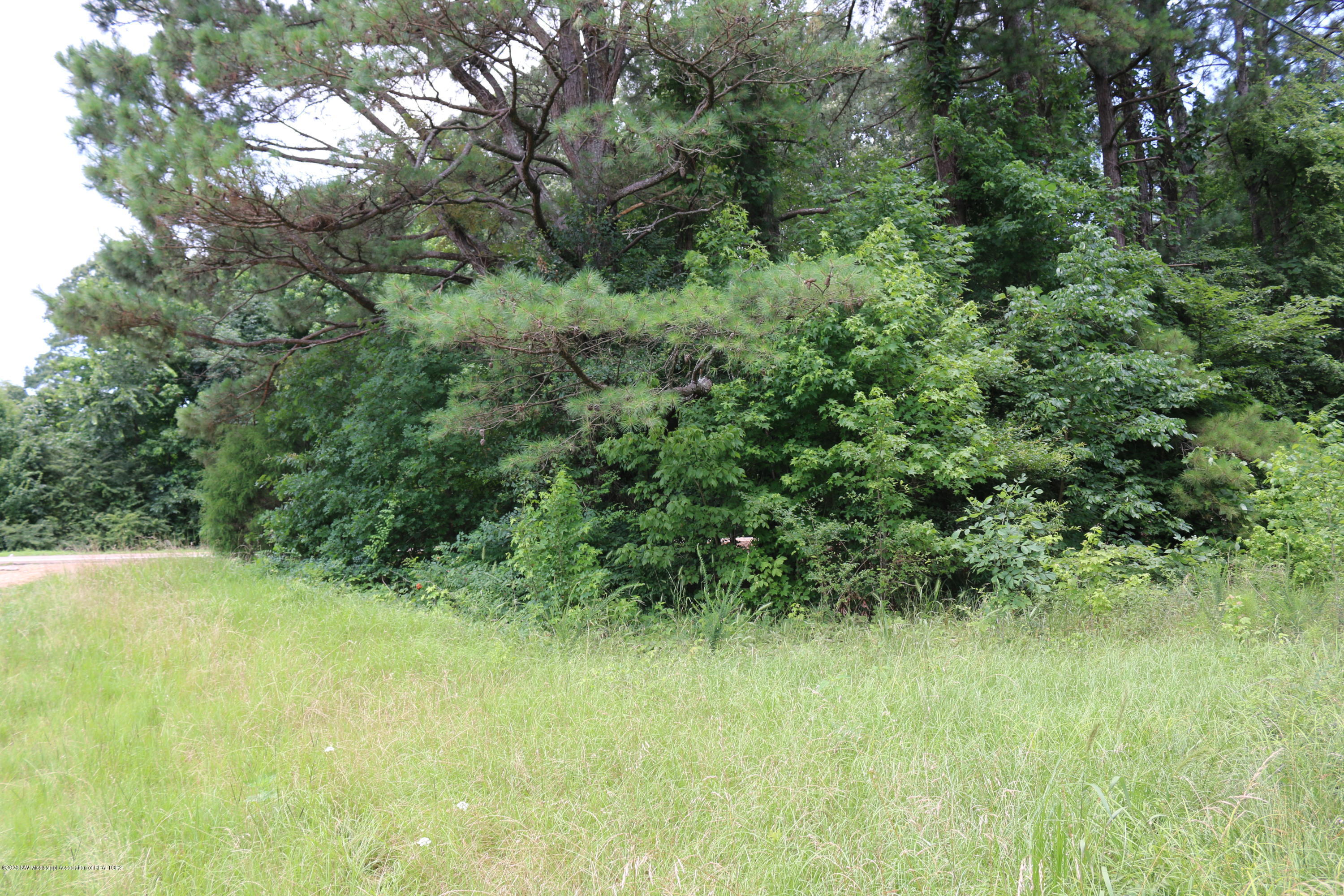 Lot 1 Cayce Road Red Banks, MS 38661 - Photo 6 of 7 lee creek