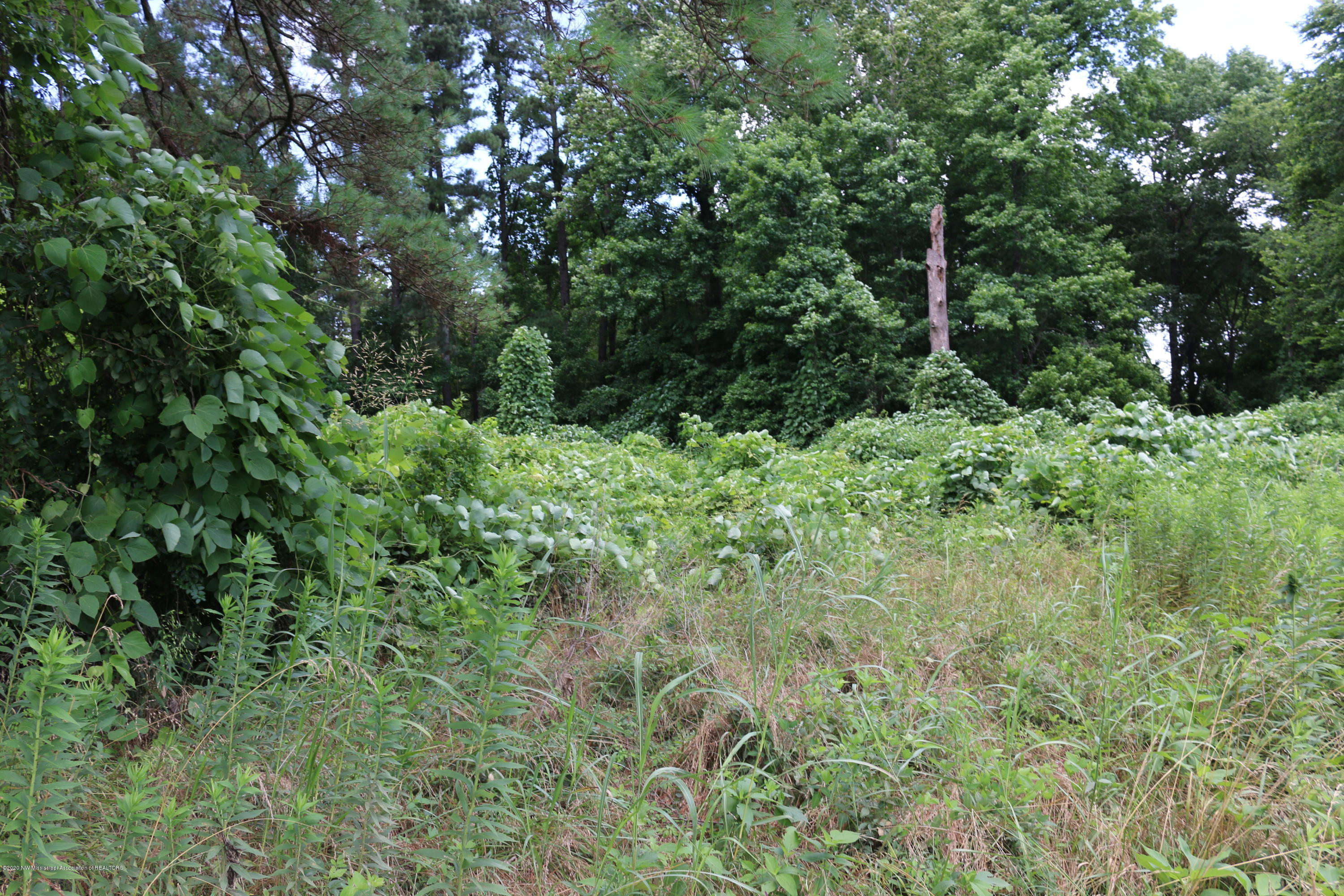 Lot 1 Cayce Road Red Banks, MS 38661 - Photo 7 of 7 lee creek