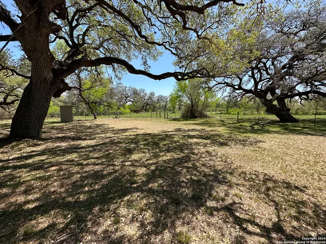 a view of large trees with a yard