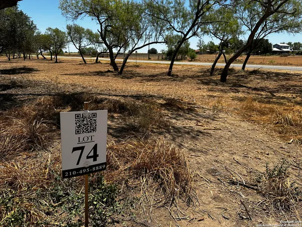 a view of park with tree s
