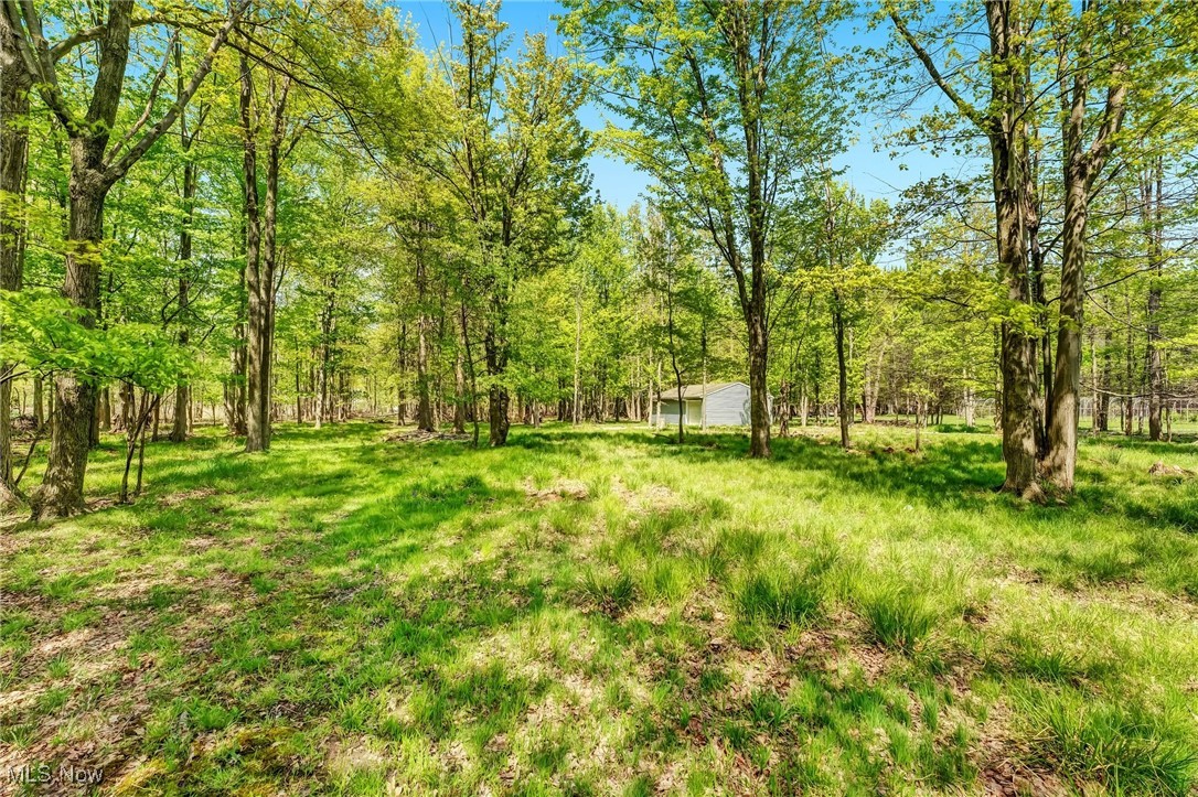 31021 White Road Wickliffe, OH 44092 - Photo 43 of 47 Gallery Image 43