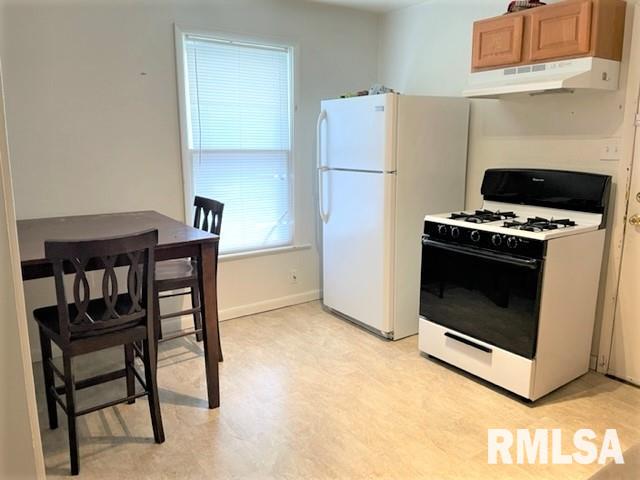 224 West Allen Street Springfield, IL 62704 - Photo 8 of 12 Gallery Image 8