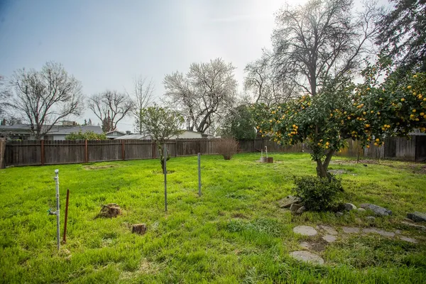 a view of a fountain in front of a house with a big yard and a large tree