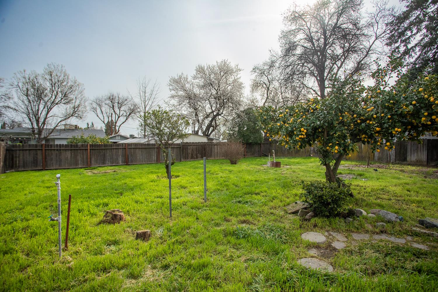 2441 Madrone Street Sutter, CA 95982 - Photo 33 of 47 a view of a garden with a tree