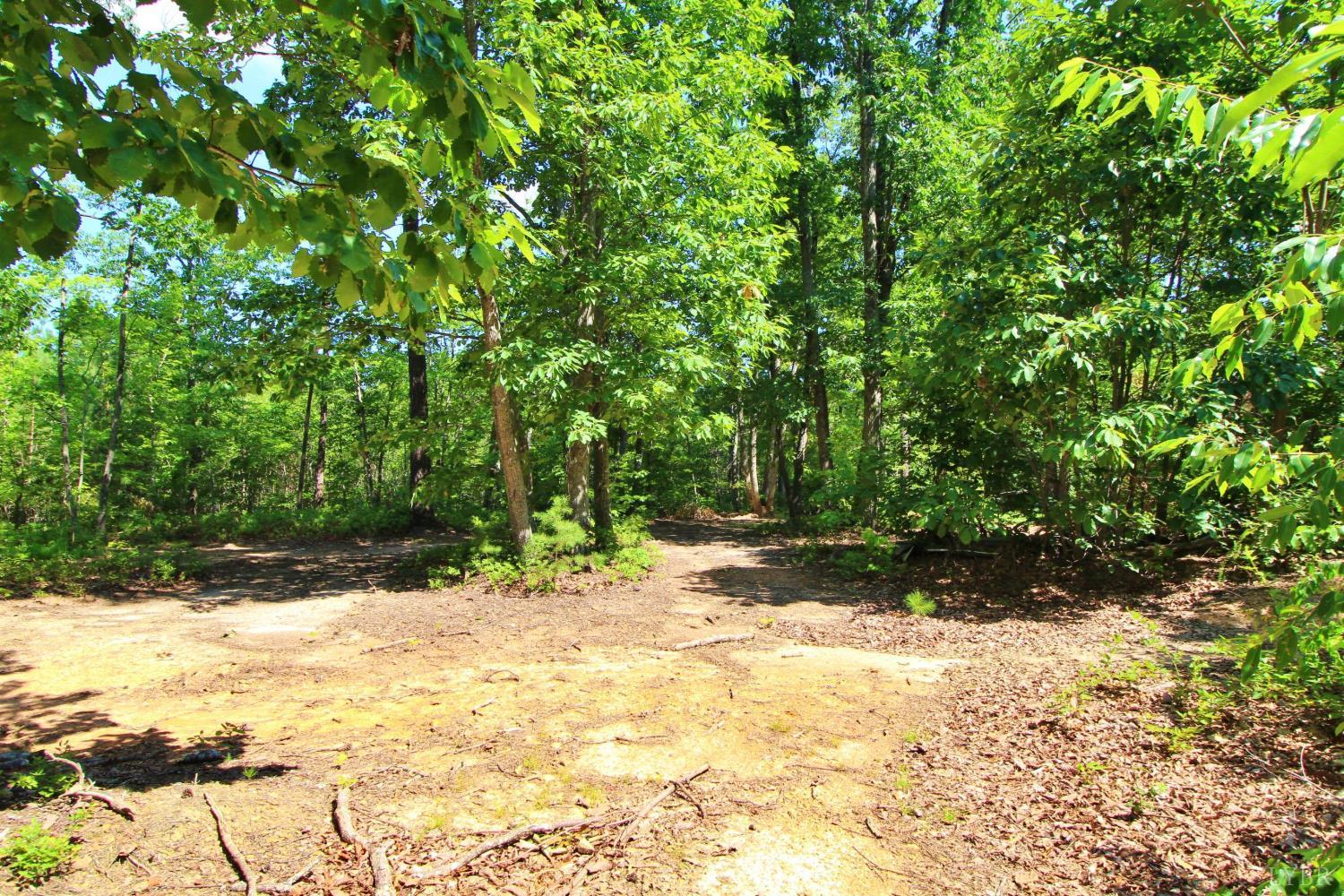 364 Community Road Dillwyn, VA 23936 - Photo 6 of 13