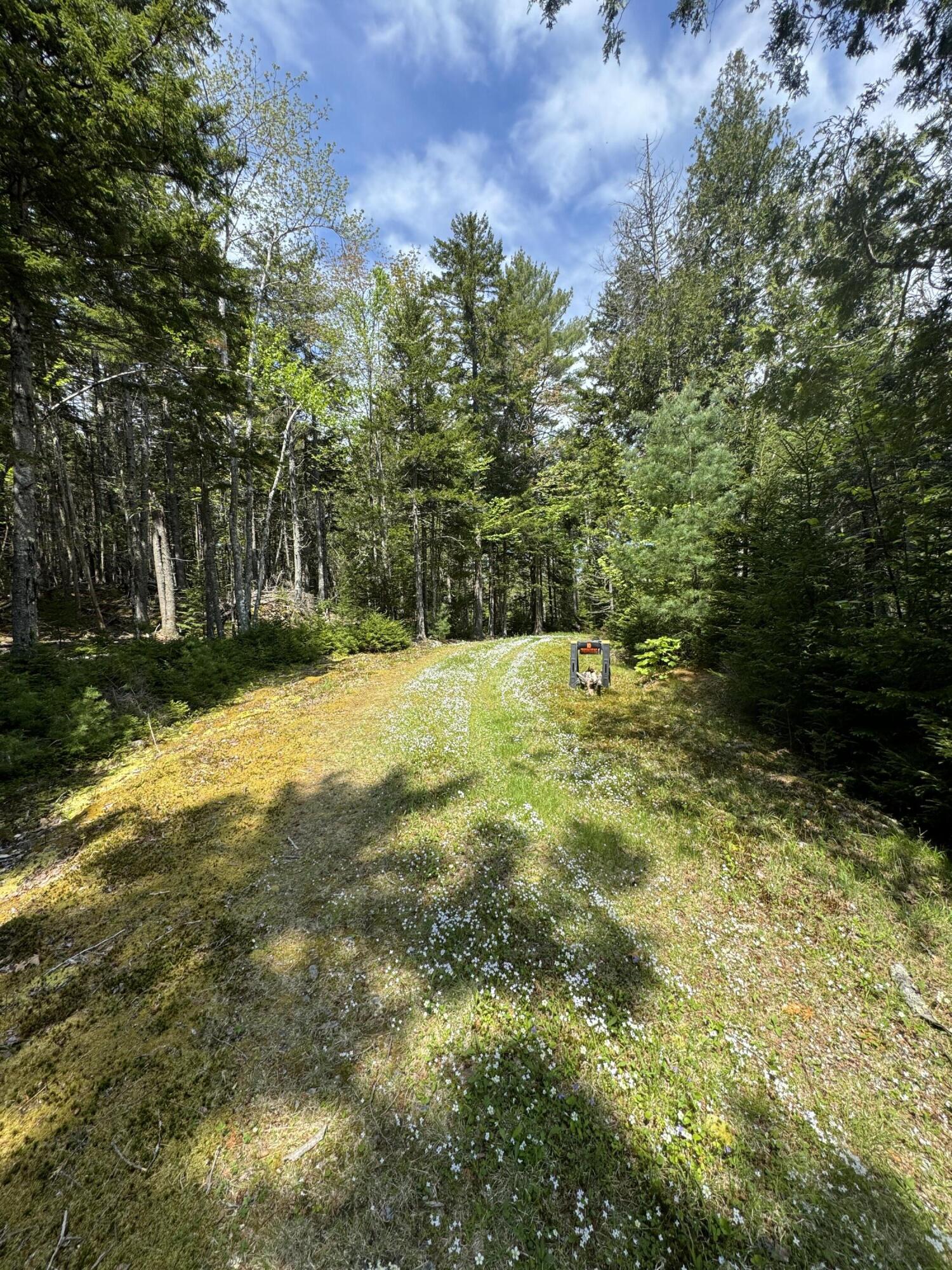 998 Cape Rosier Road Harborside, ME 04642 - Photo 5 of 42 Leading to Magical Oasis