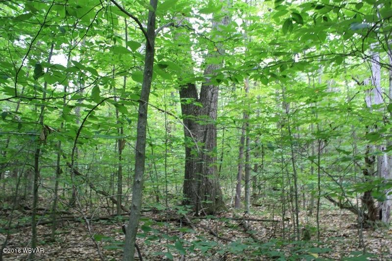 1746 Hardscrabble Road Mansfield, PA 16933 - Photo 37 of 42 12-Land (7)