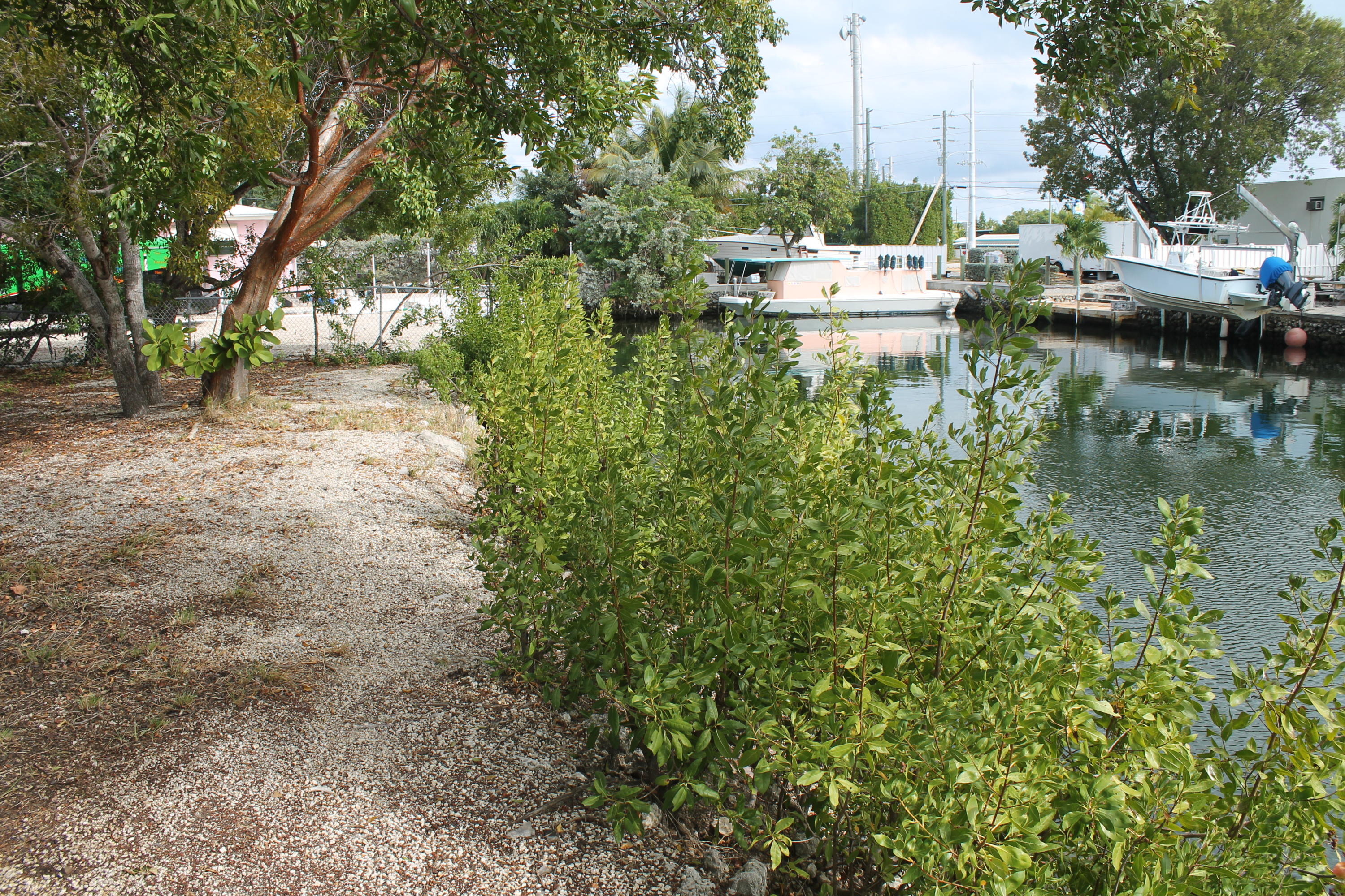 Lot 11 Mockingbird Road Tavernier, FL 33070 - Photo 2 of 7 Shoreline View