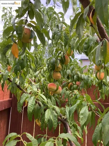 $97,950 | 18717 Mill Villa Road, Unit 250, Jamestown, CA 95327