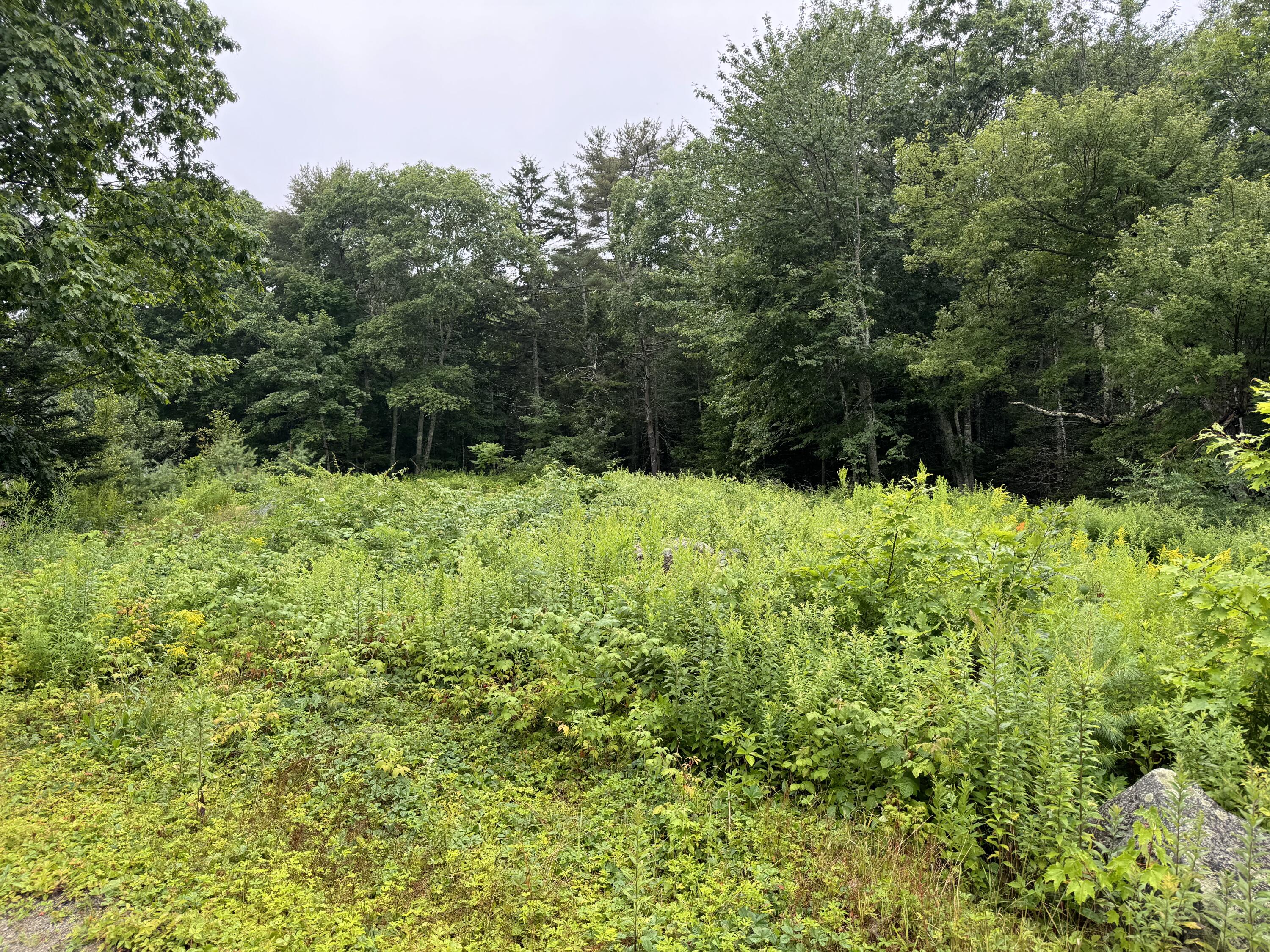 1371 Friendship Road Waldoboro, ME 04572 - Photo 9 of 21 IMG_6511