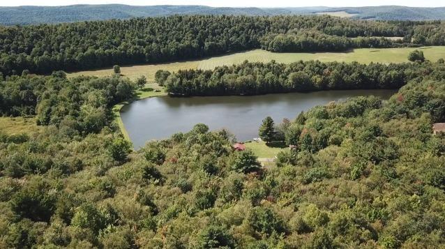 179 Sparrowhawk Lake Road Maryland, NY 12155 - Photo 49 of 49