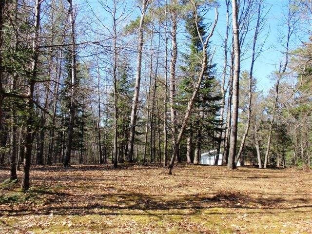 6833 Shore Dr Drive Rhinelander, WI 54501 - Photo 14 of 20 Gallery Image 14
