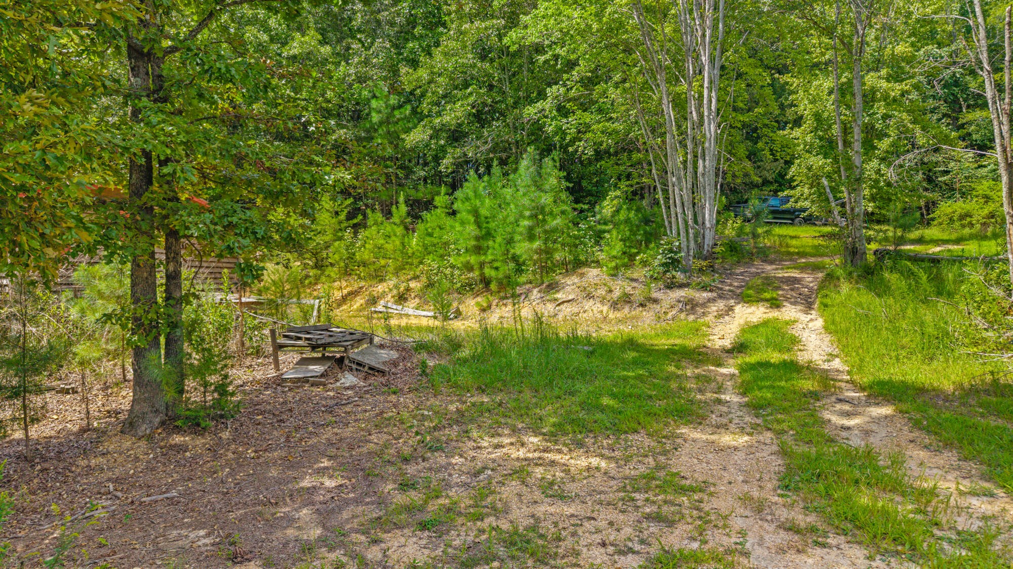 1627 Wasson Road Ten Mile, TN 37880 - Photo 9 of 13