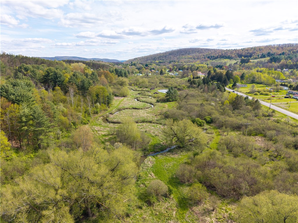 0 County Route 13 Bath, NY 14810 - Photo 17 of 26