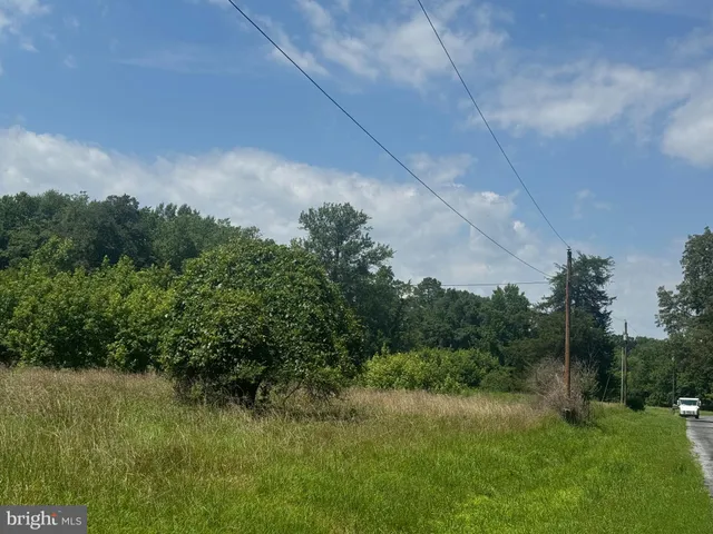 a view of a big yard with plants and large trees