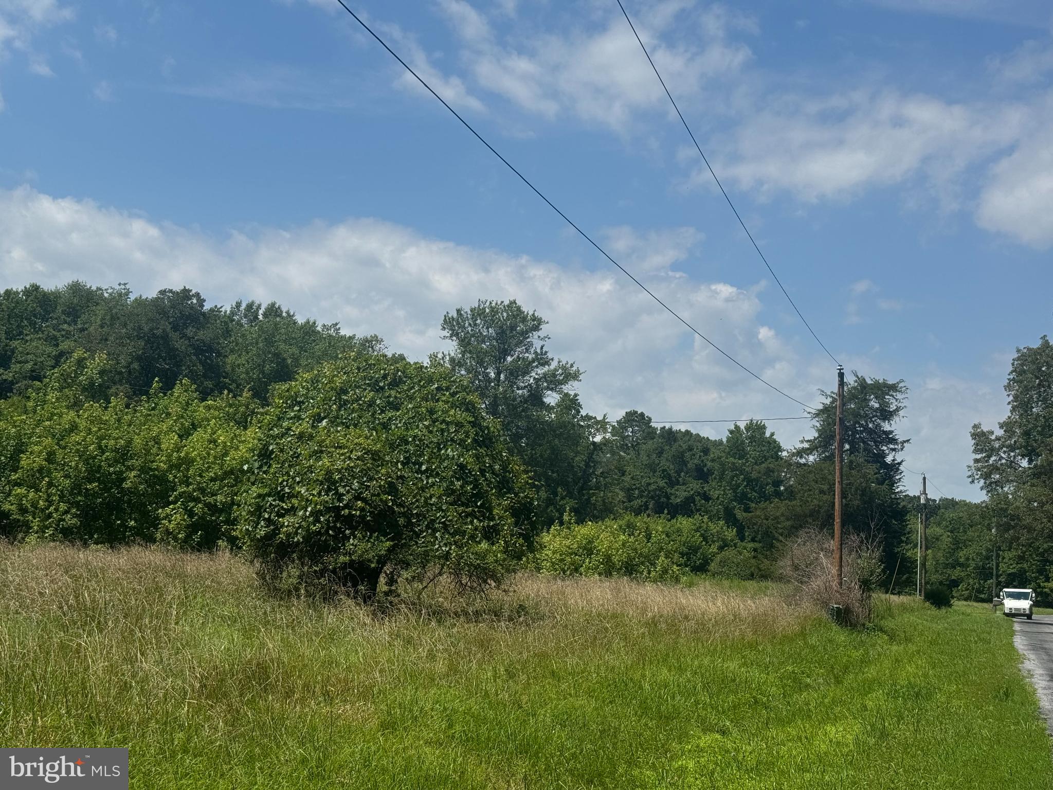 5700 Johnsontown Road Chestertown, MD 21620 - Photo 4 of 7 a view of a big yard with plants and large trees