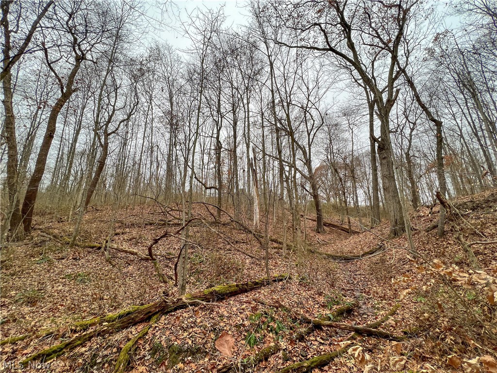 Briar Road Magnolia, OH 44643 - Photo 13 of 22