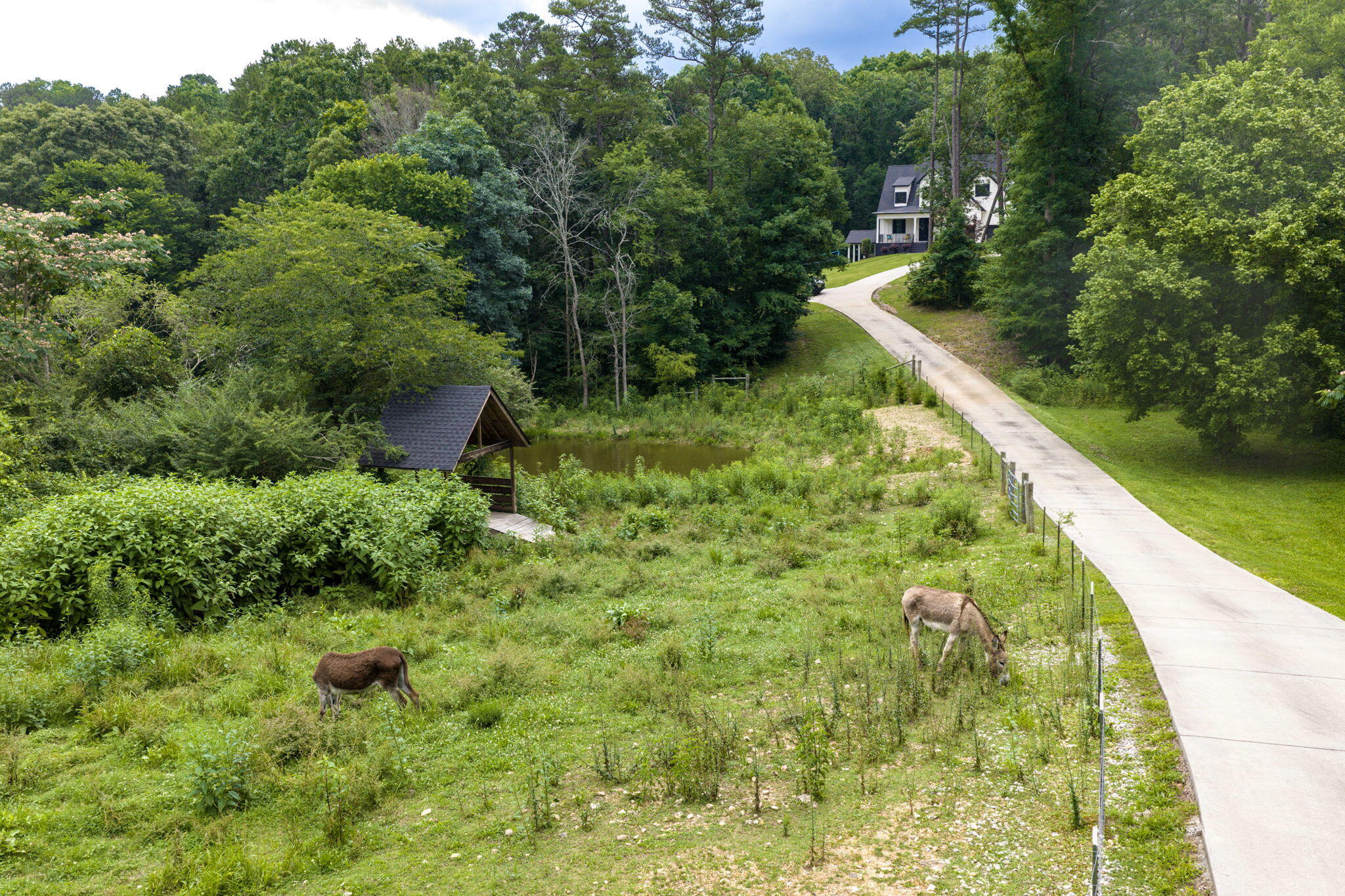 3057 Burning Bush Road Ringgold, GA 30736 - Photo 74 of 78 Donkeys are in the fields currently