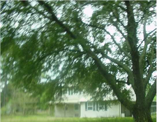 9709 Placide Road Maurice, LA 70555 - Photo 1 of 12 Primary Photo
