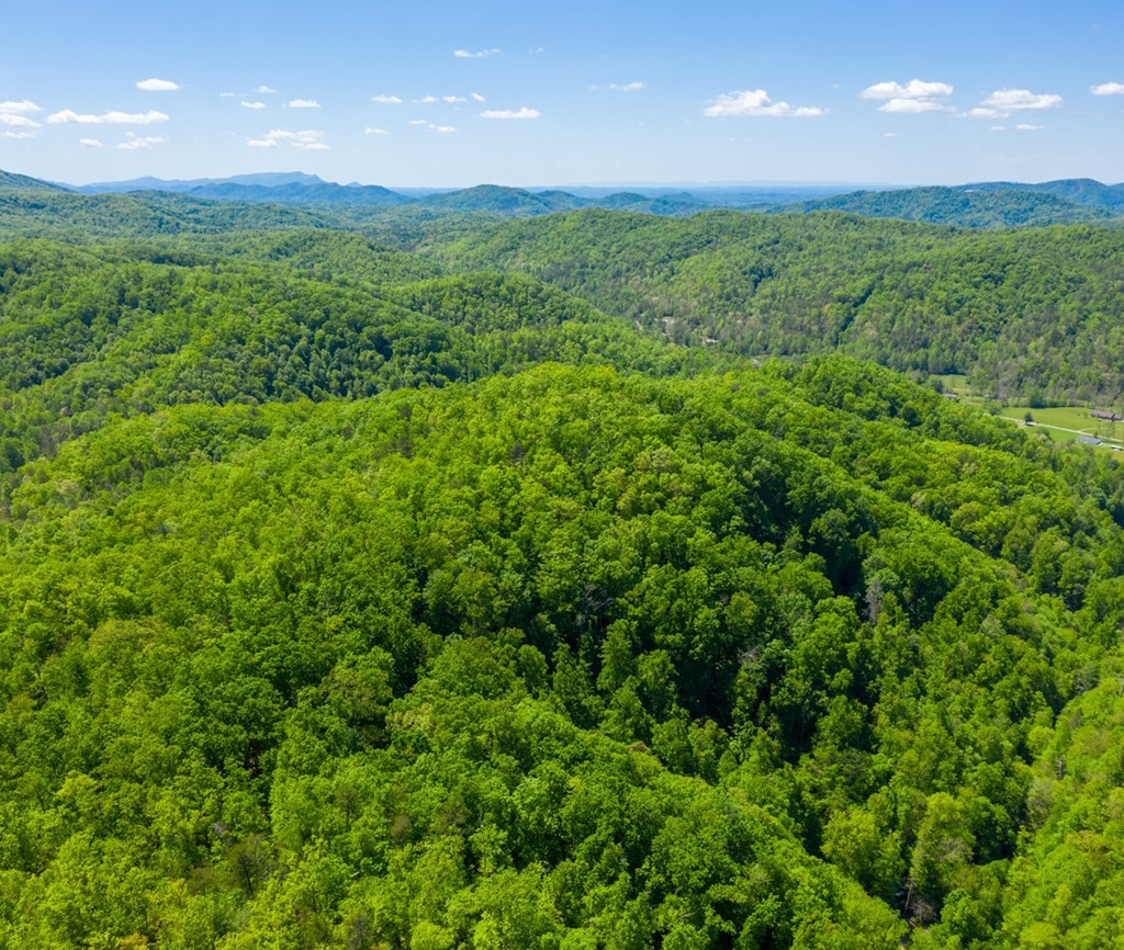 0 Henry Town Road Sevierville, TN 37876 - Photo 10 of 38 Gallery Image 10
