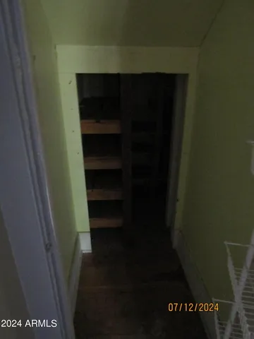 a view of a flower in a garden