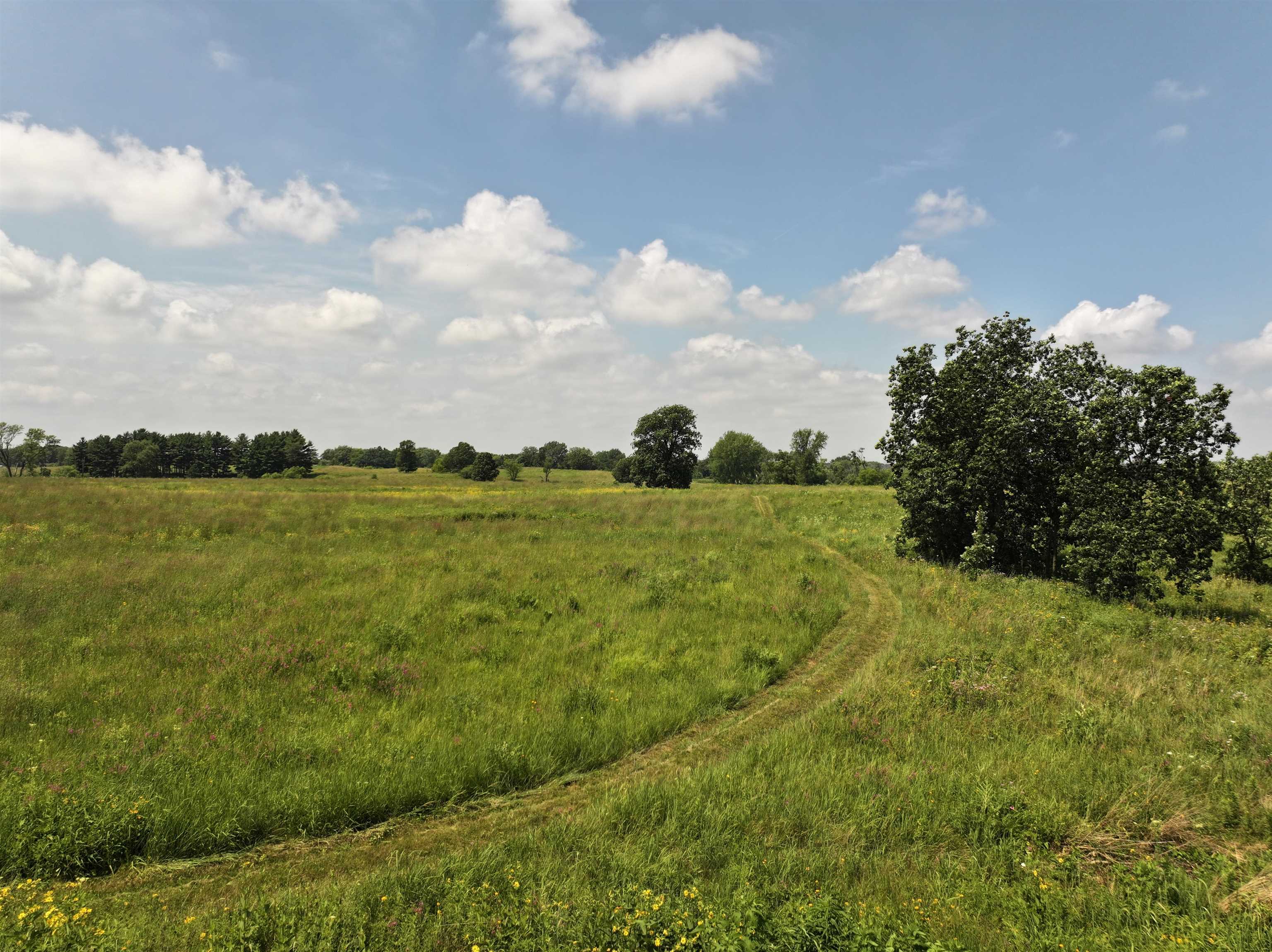 5 Acres M/l North Charley Bluff Road Milton, WI 53563 - Photo 7 of 13